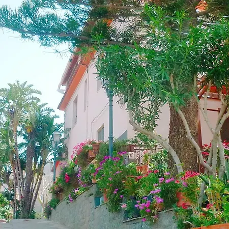 Paradiso Ristorante 4*